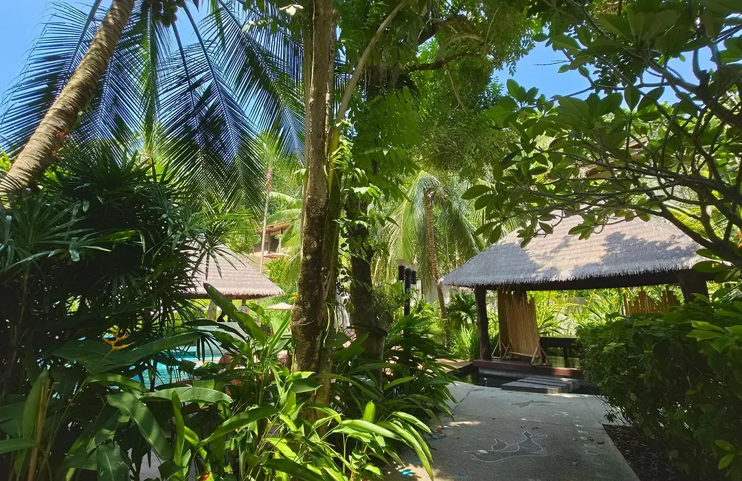 Hula Hula Resort L Truly Tropical And Fun Wellness-1