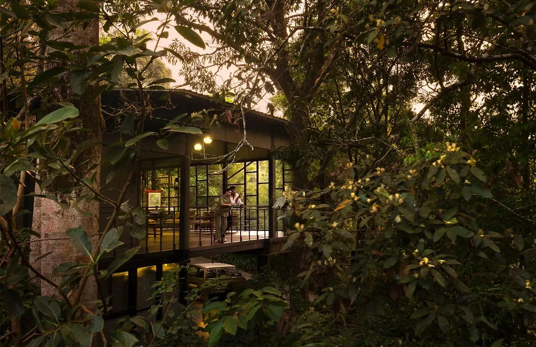 Wayanad Wild - A Cgh Earth Experience-1
