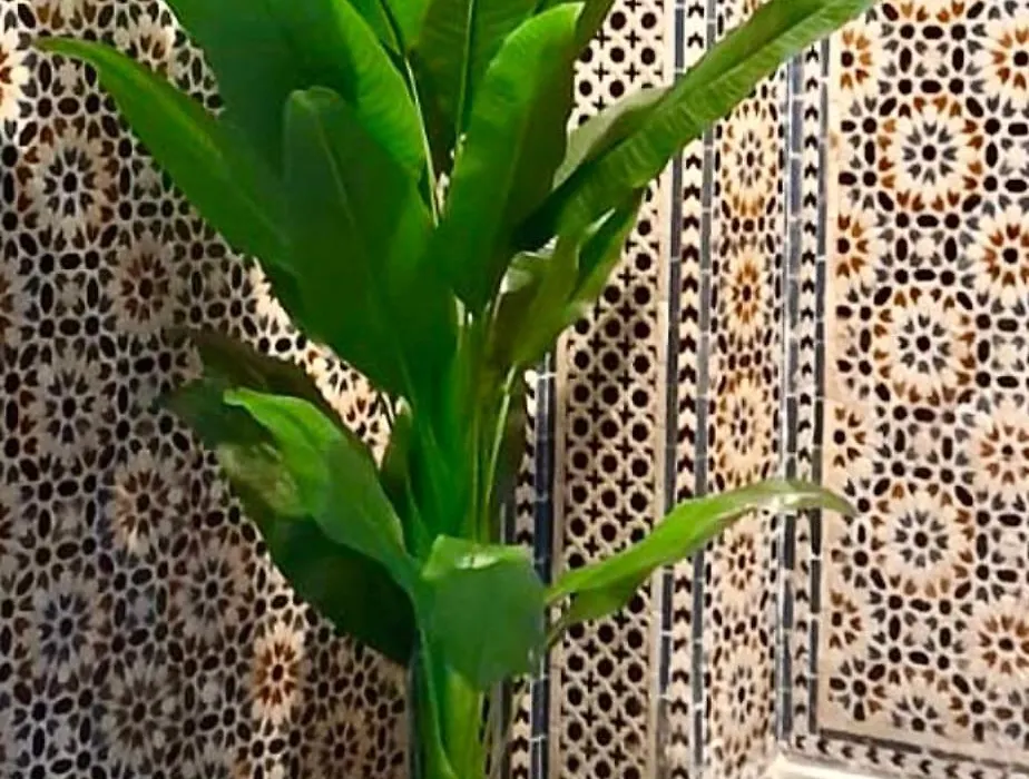 Riad EL Manantial,Patrimonio del S XIX-1