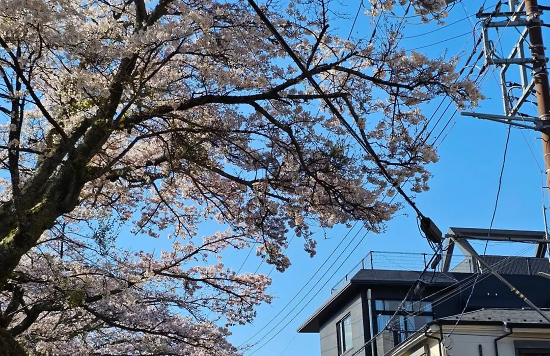Hakone Guest House Gaku.-1