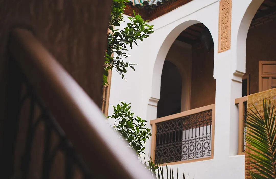 Riad Maison Palmier (Adults Only)-1