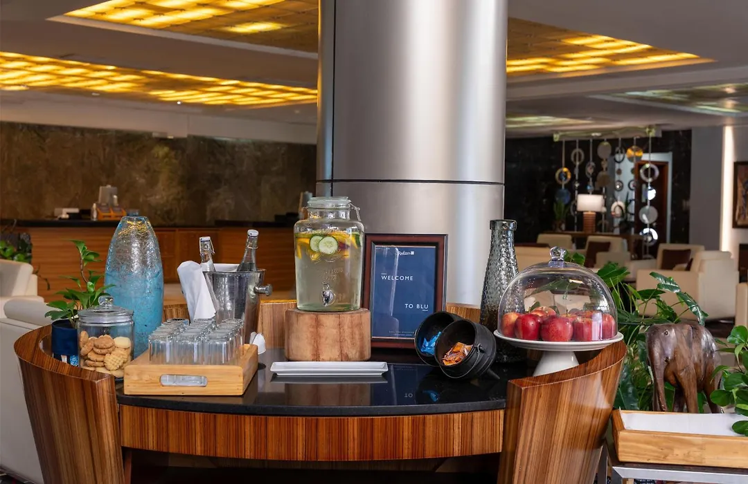 Radisson Blu Hotel Lusaka-1