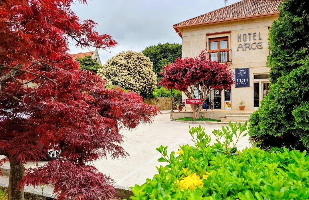 Hotel Arce-1
