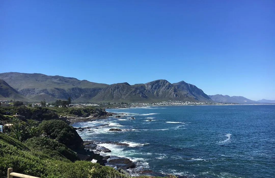 The Lily House Hermanus - Central Private Cottages-1