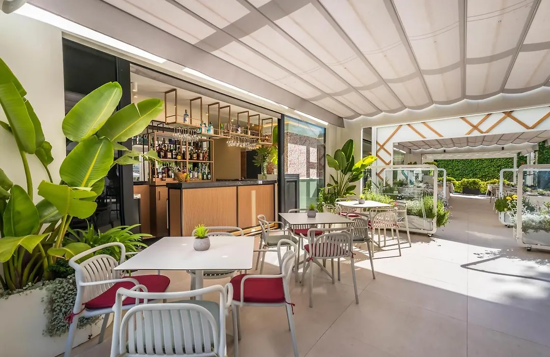 Occidental Puerto Banus-1