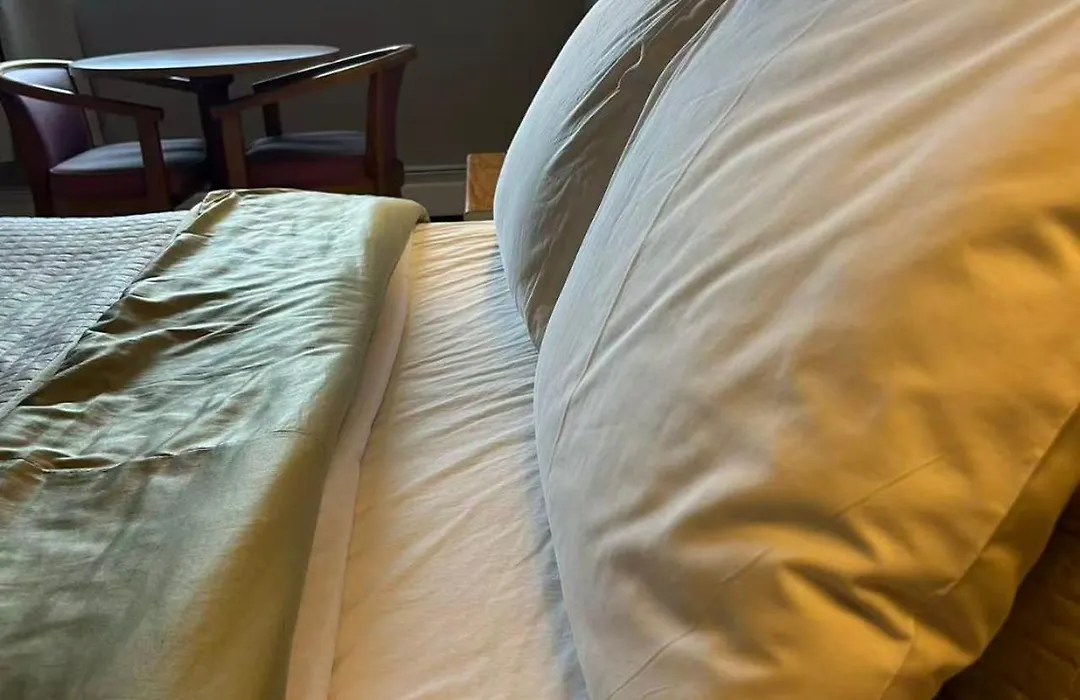 Motel Casino-1