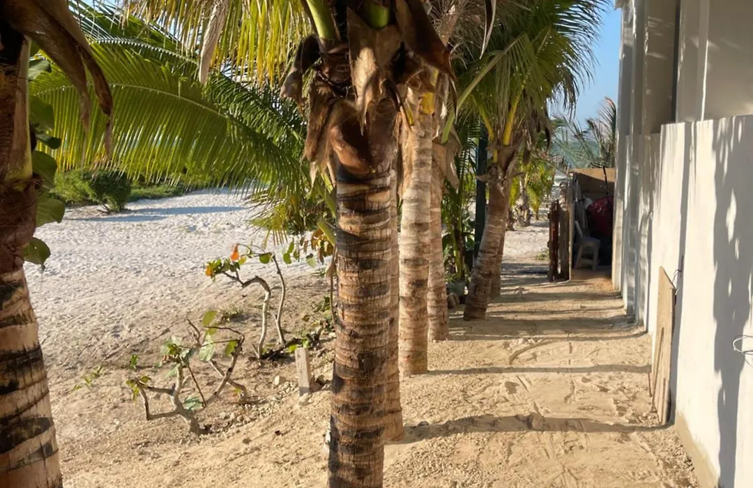 Playa Arena-1