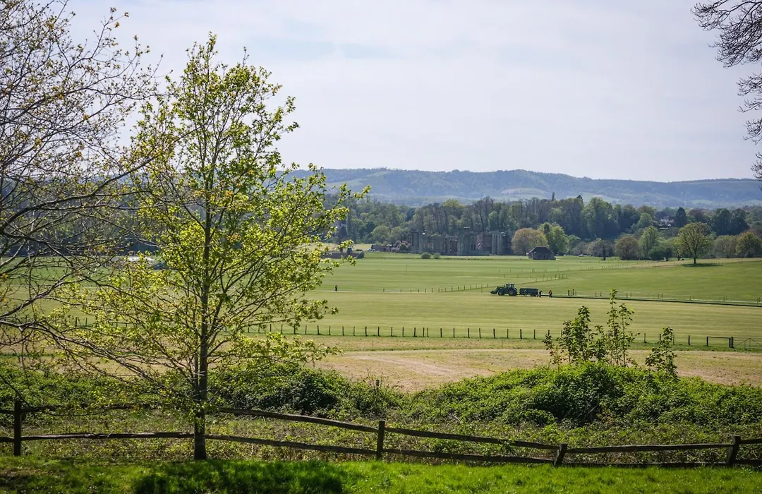 Cowdray Lodge B&B Rooms-1