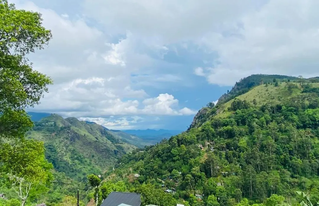 Divine View Homestay-1