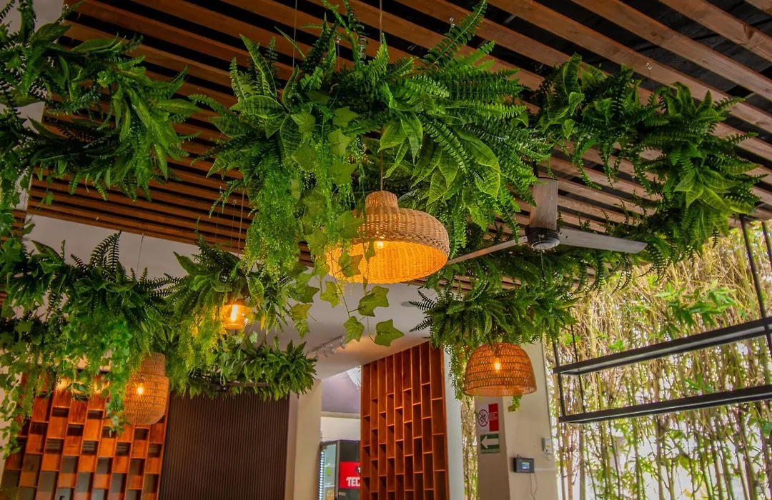 Eco City Hoteles-1