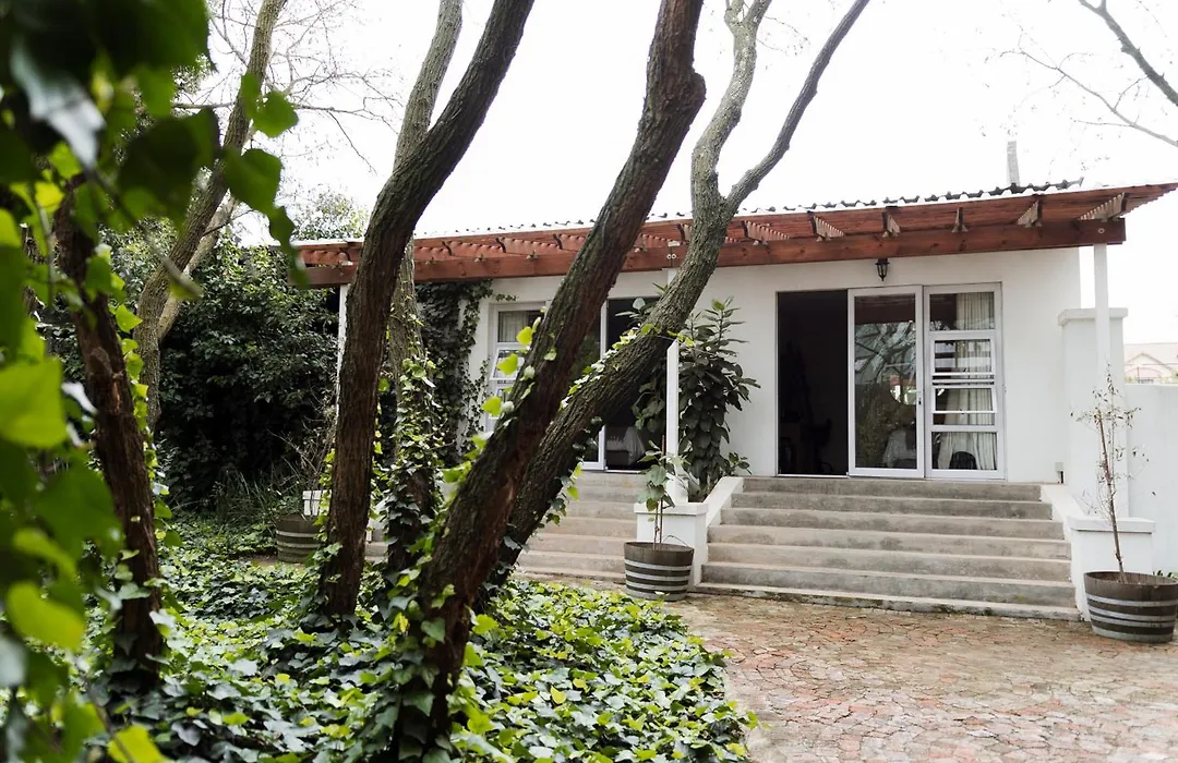 55 Tulbagh Boutique Guest House - Or Tambo-1