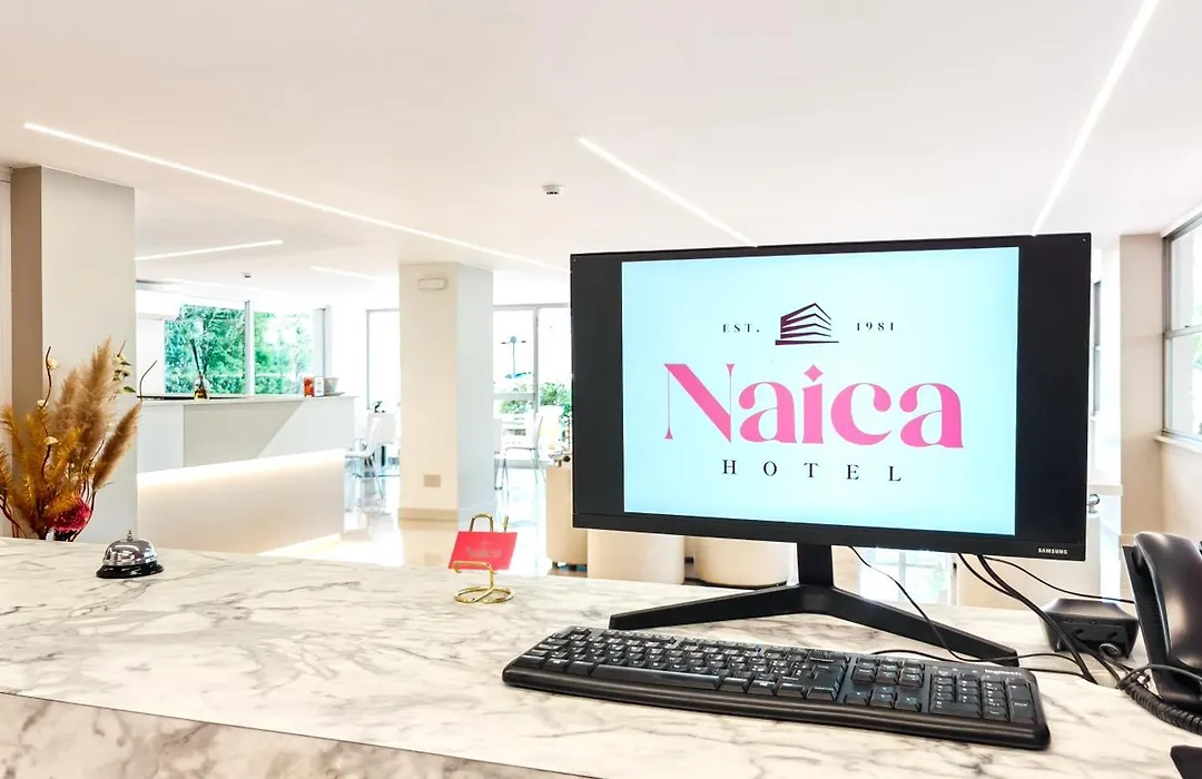 Hotel Naica-1