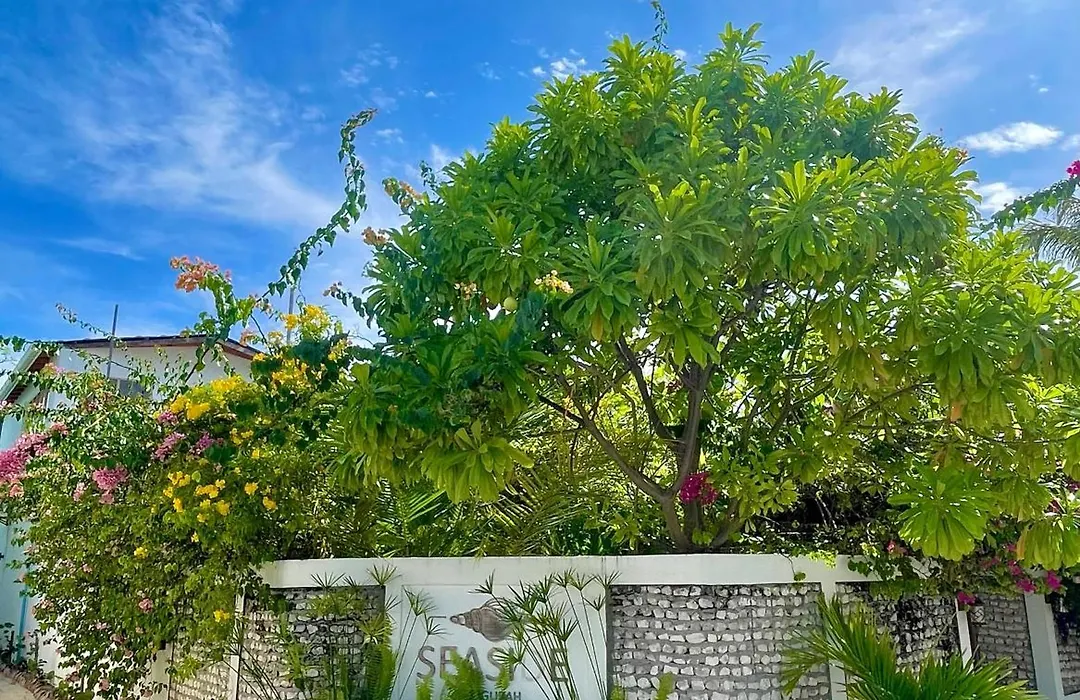 Seaside Dhigurah-1
