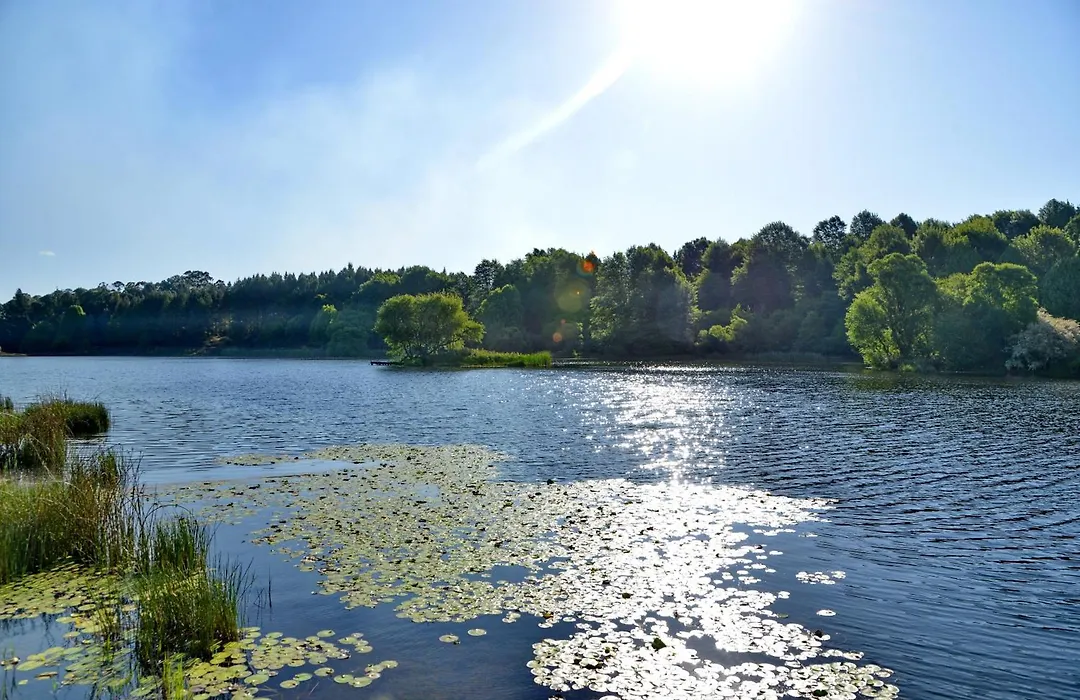 Dunkeld East-1