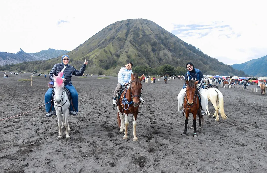 Artotel Cabin Bromo-1