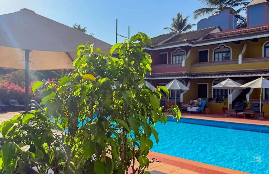 Skylark Resort-1