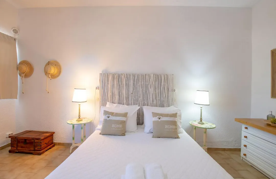 Villa Fiamegou Andros-1