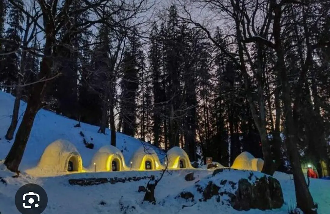 Mha Hotel Ever Green Manali-1