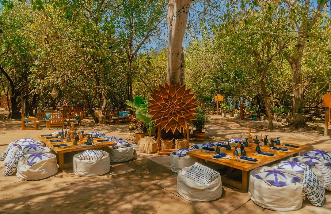 Isla Corona-1