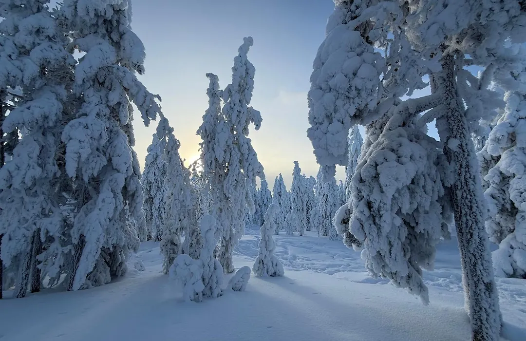 Arctic Panorama Resort-1