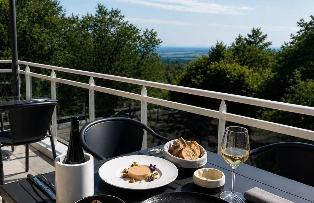 Hotel Spa Restaurant Husseren Collections - Proche Colmar - Eguisheim-1
