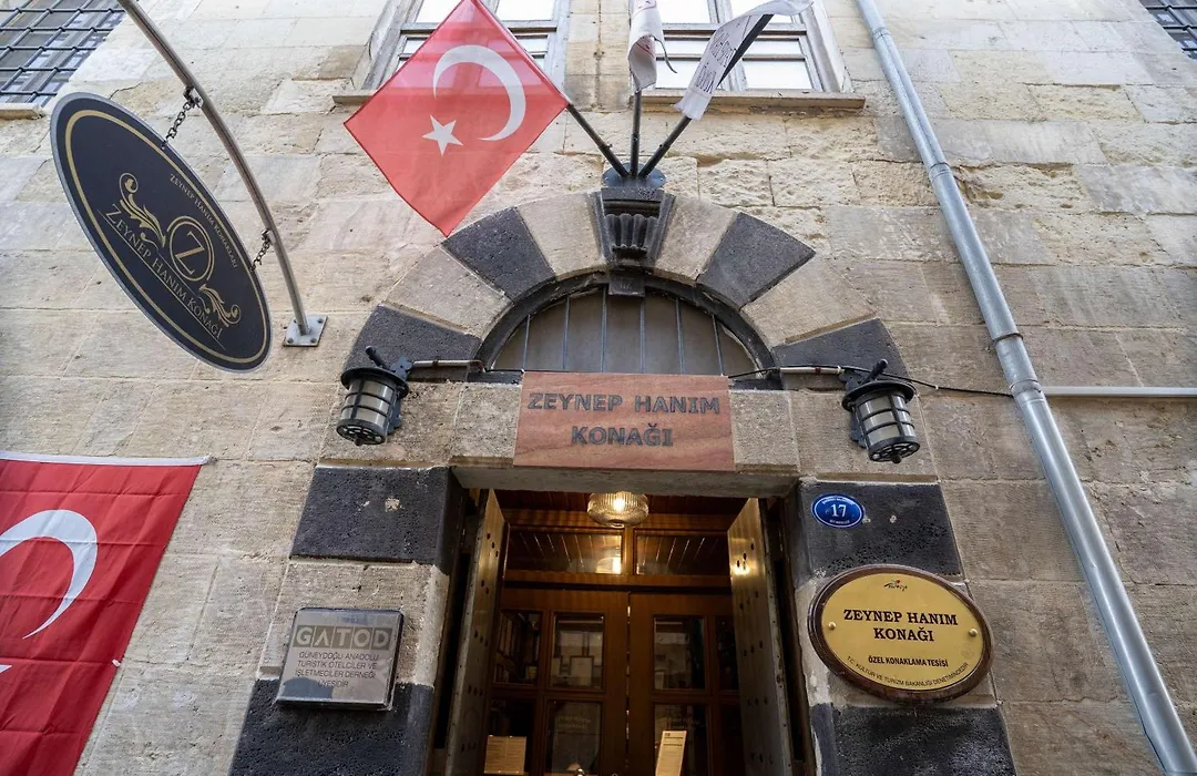 Zeynep Hanim Konagi-1