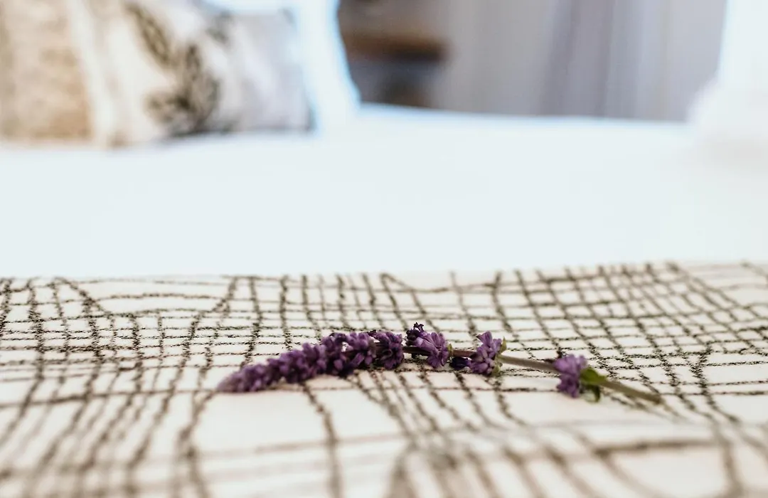 Macaron Boutique Guest House-1