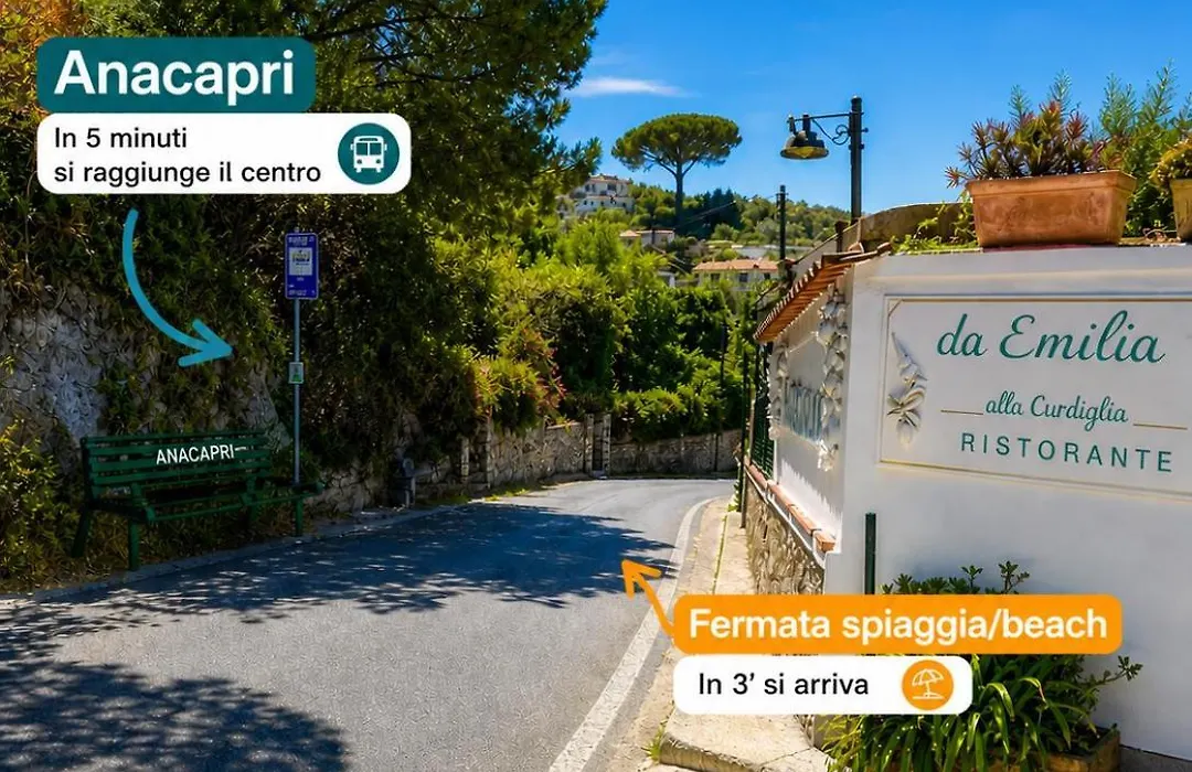 B&B Il Paradiso Di Capri-1