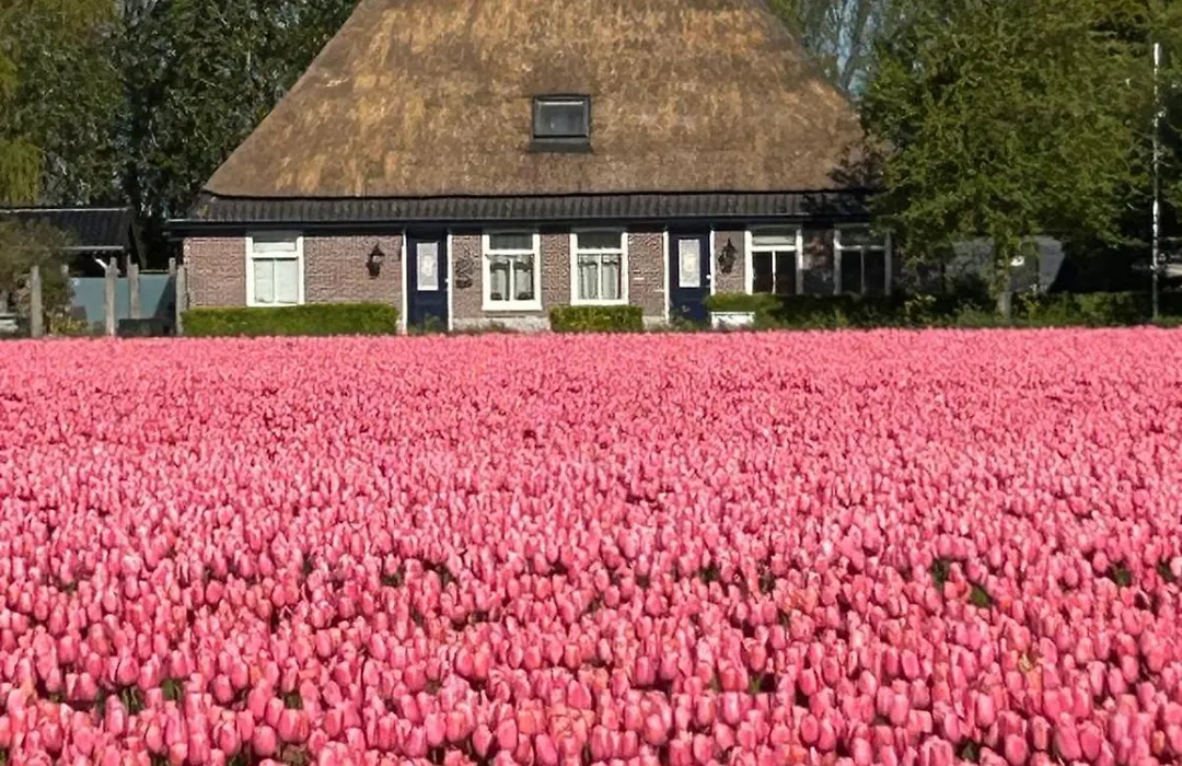 B&B Idylle aan Zee incl 2 Wellnessstudios-1