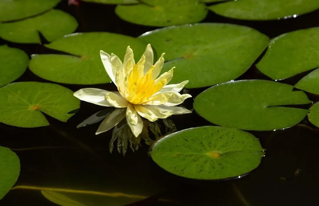 Kuenuek Hotel Boutique-1