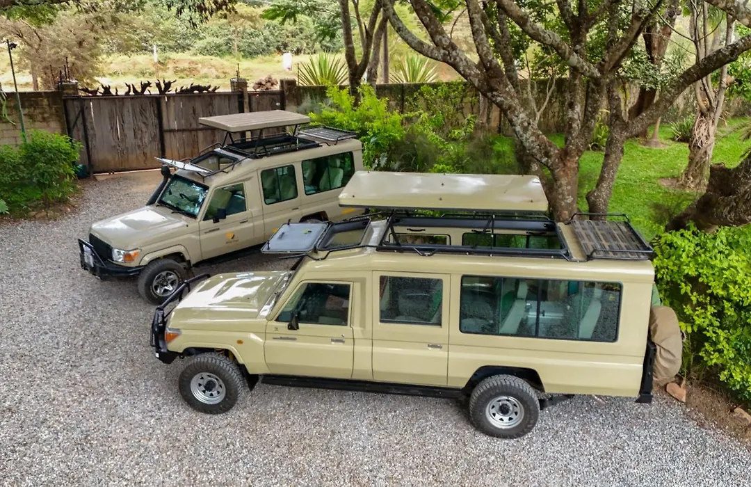 Wild Dogs Lodge-1