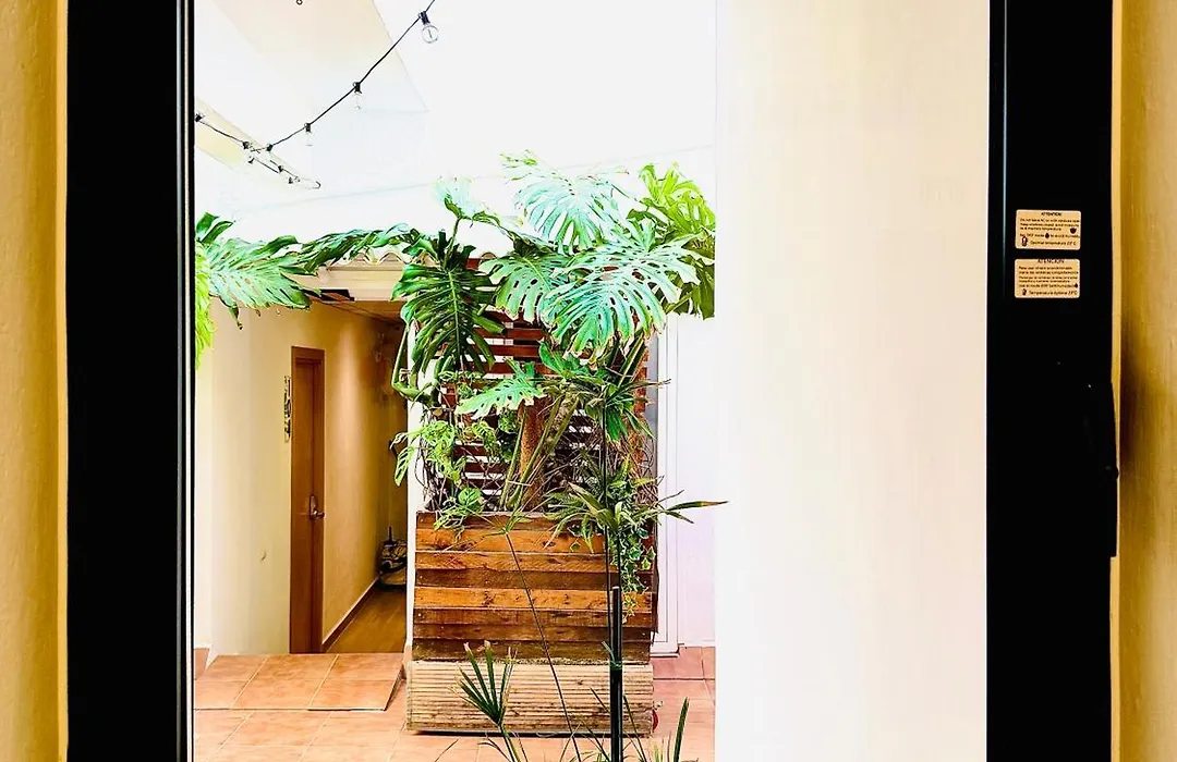 Nanit Rooms Ibiza Hostal-1