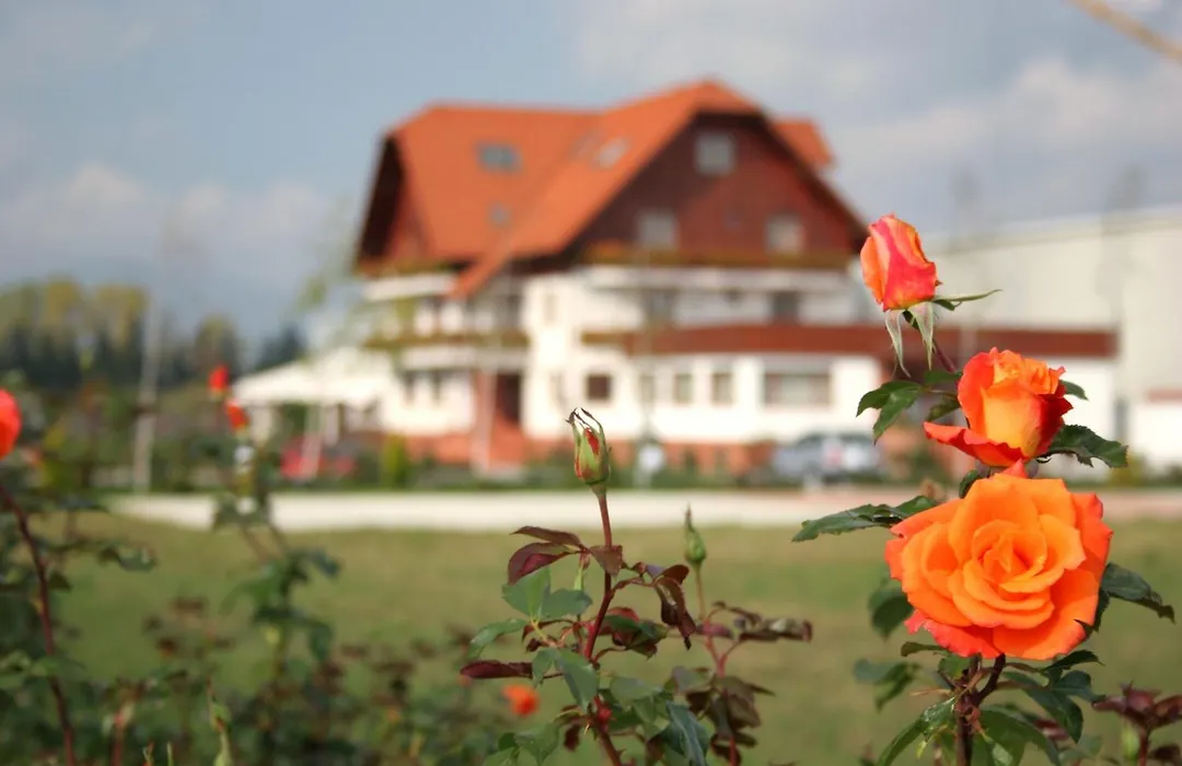 Garden Club - Hotel - Free Parking-1