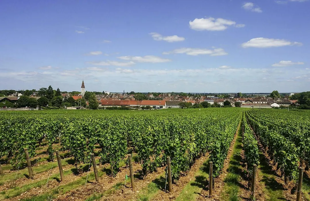 ibis budget Nuits Saint Georges-1