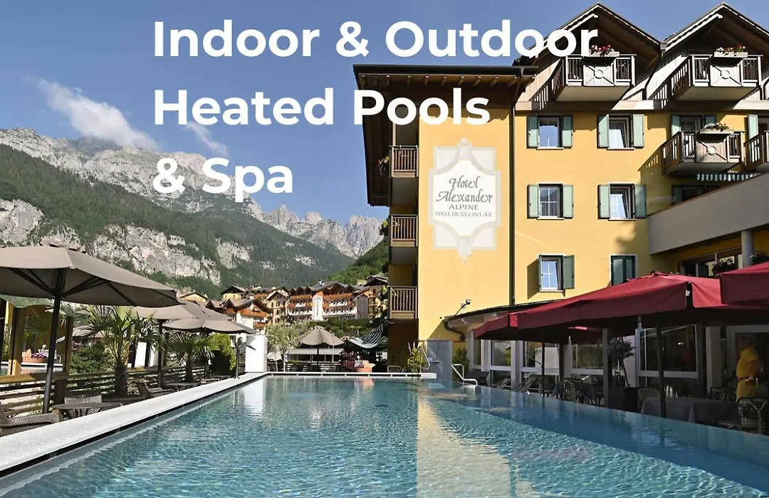 Alexander Hotel Alpine Wellness Dolomites-1