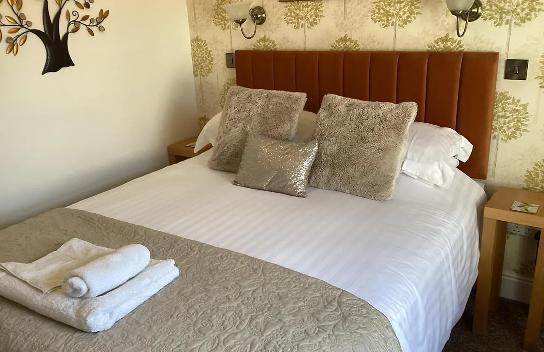 Forest Guest House-1
