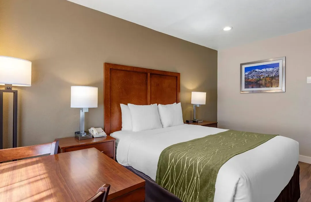 Comfort Inn Bishop-1