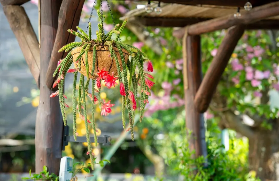 B&B La Casa Nel Giardino-1