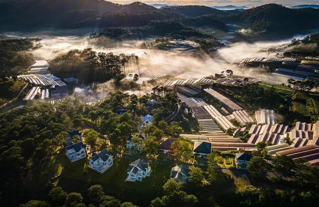 Tea Resort Dalat-1