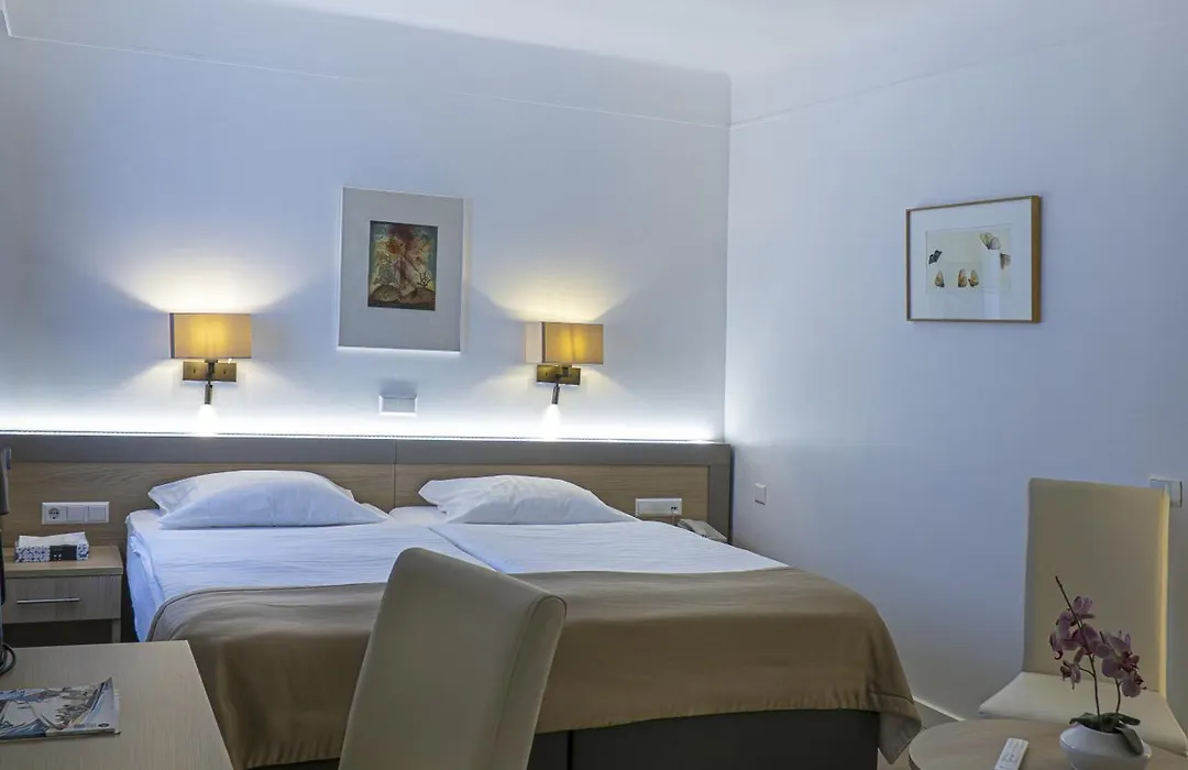 Hotel Francais-1