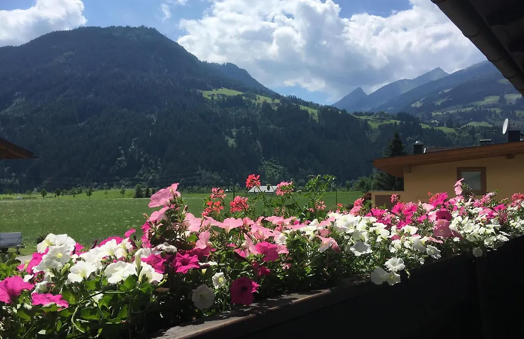 Restaurant Gästehaus Wiesenheim-1