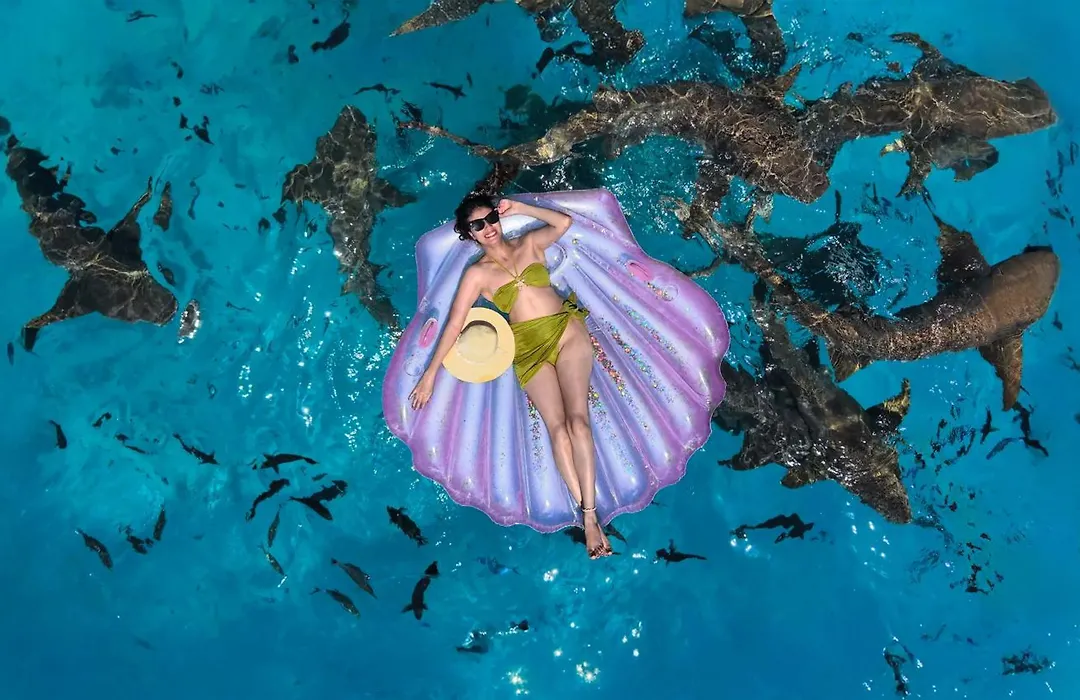 Kaani Beach Hotel - Stay 3 Nights And Save 20 Percent On Spa And 10 Percent On Dining Until 31 October 2026-1