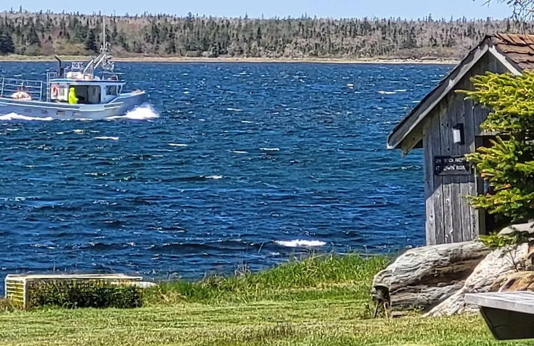 Whispering Waves Cottages-1