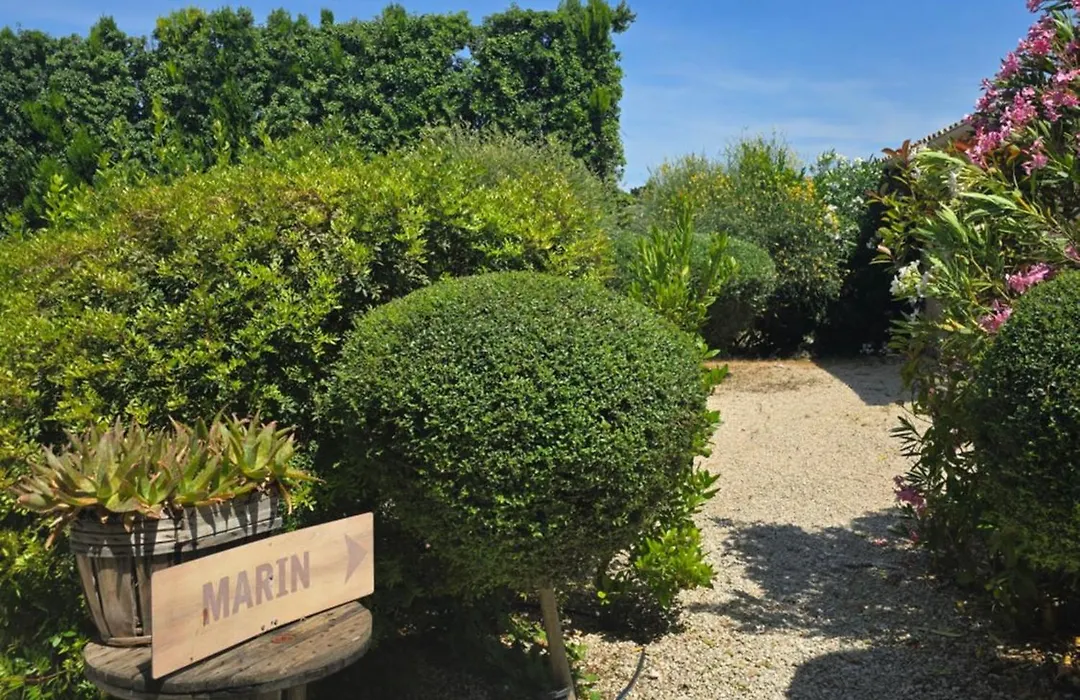 Mas Saint Julien-1