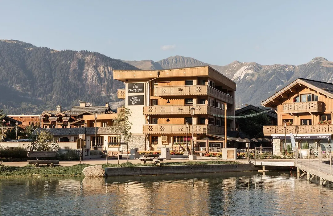 Hotel Les Peupliers-1