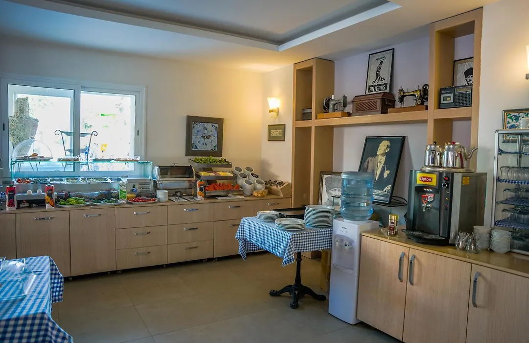 Artemis Hotel-1