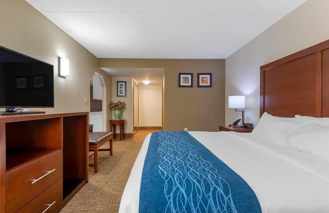 Comfort Inn Binghamton I-81-1