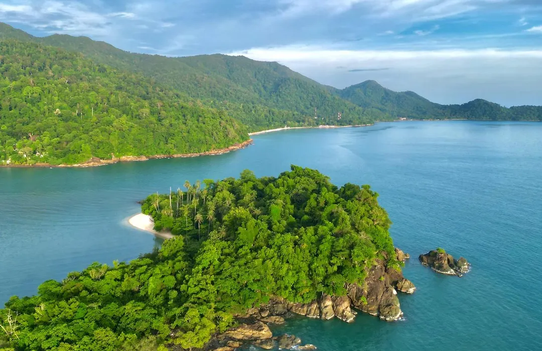 Beach Jungle-1