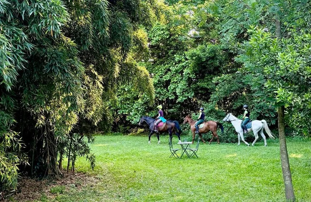 Villa La Dogana - B&B With A Lovely Garden - Private Parking - Slow Living In An Old-Fashioned Historical Home-1