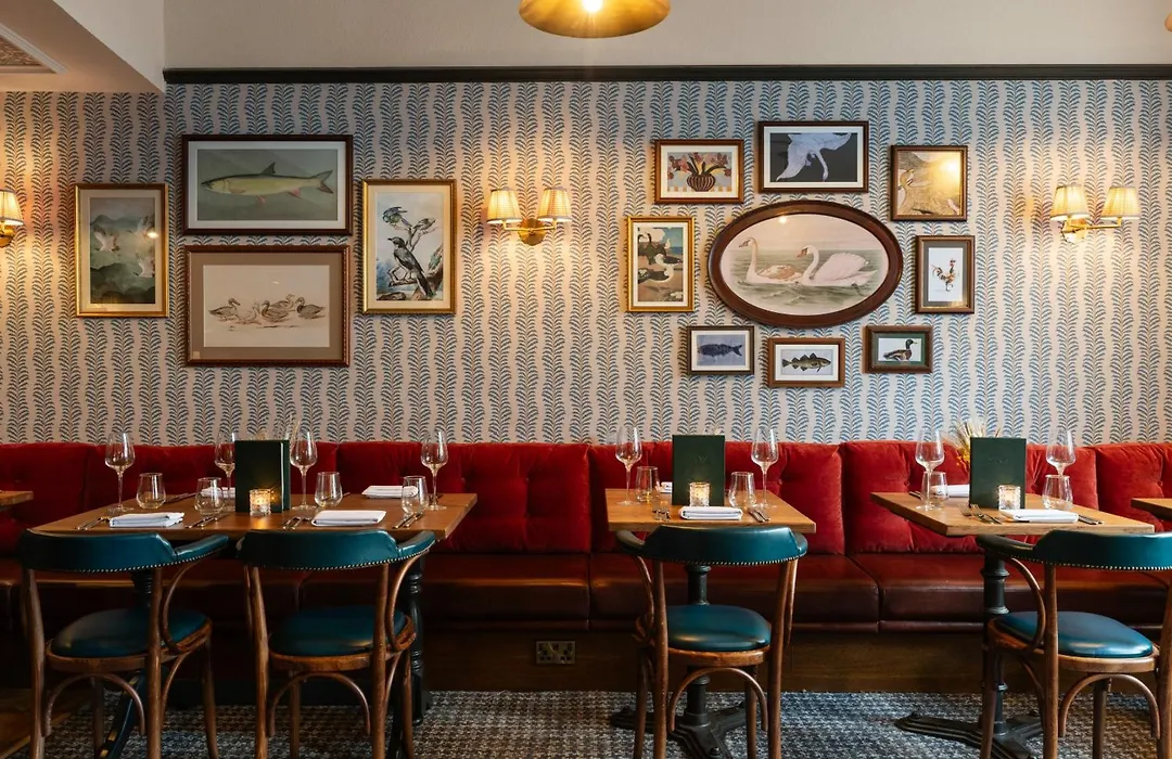 The Swan-1